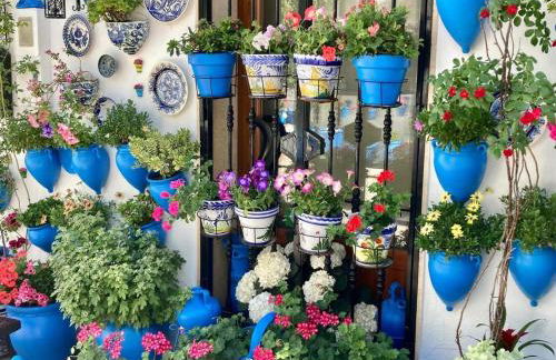 Dehesilla Olive Orchard Retreat - Foto 27