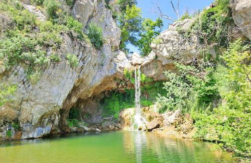 Timber Dream - Photo 29