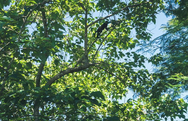 Chalet San Juanillo - Photo 13