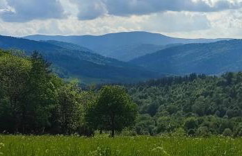 Bieszczady Żubrowe Wzgórze 785-049-543 - Foto 66