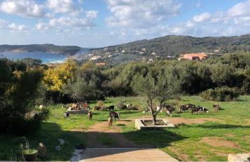 Résidence Castugna - Foto 41