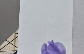 Kofinaki apartment 1 - Tychero Evros - Foto 13