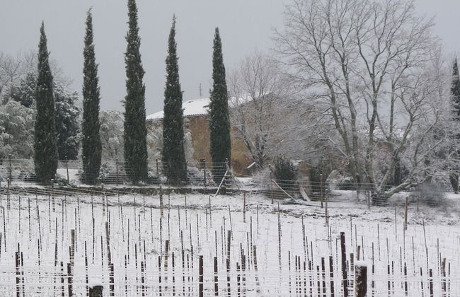 Podere Campovecchio - Foto 31