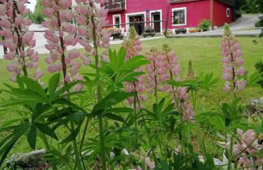 Apartman Nada - Foto 33