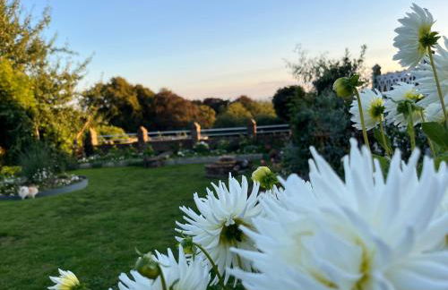 Le petit paradis - Foto 22