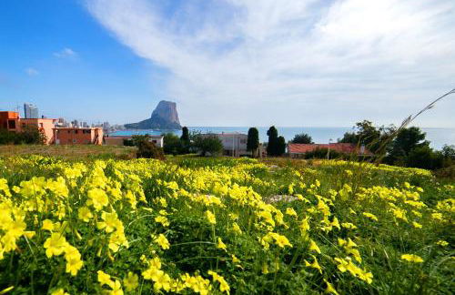 Homeincalpe Borumbot - Photo 17