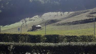 STUDIO 4 PERSONNES PIED DES PISTES AU RDC AVEC TERRASSE - Foto 2