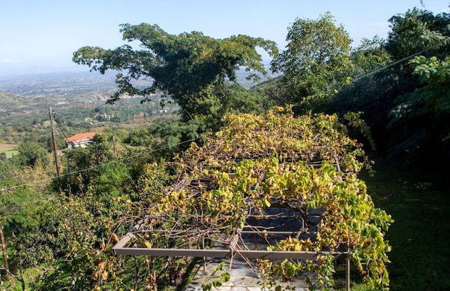 All Seasons Guest House - Foto 35