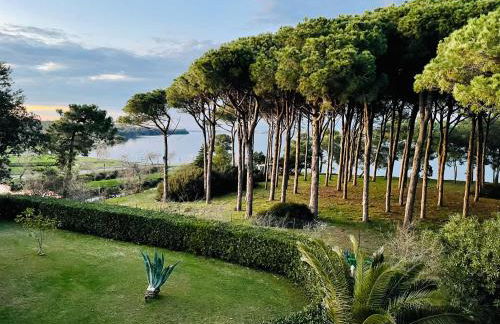 Tenuta Clementino - Foto 19