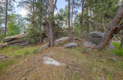 Custer Gem - Foto 47