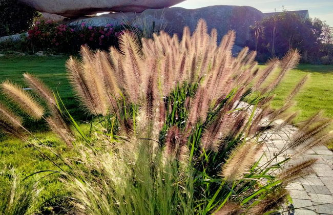 La Ganivelle - Foto 23