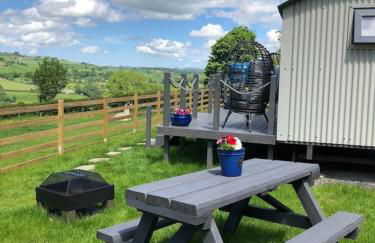 The Shepherds Hut at Hafoty Boeth - Photo 72