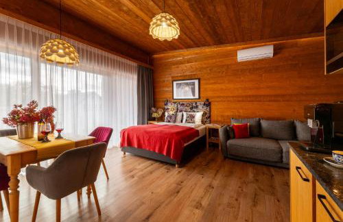 APARTAMENTY U HARREGO BOUTIQUE SPA masaże, sauna, tężnia solankowa , balkon , taras , klimatyzacja , parking - Foto 56