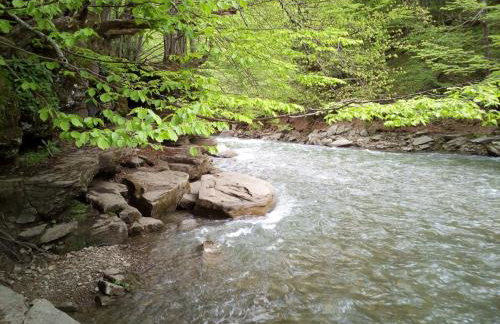 Domek Jancio Wodnik - Photo 14