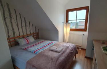 Gästewohnung Elbblick - Reinkommen, Wohlfühlen und den Ausblick genießen - Foto 20