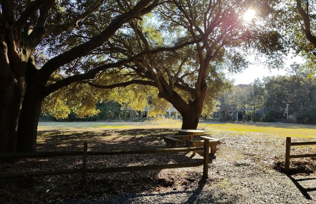 Ocean Pines Resort - Foto 49