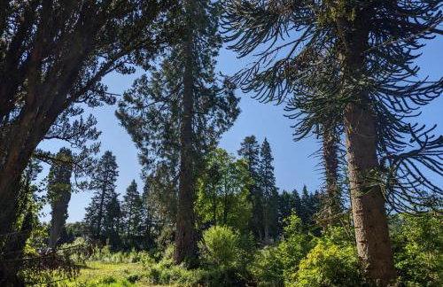 The Ardennes 66 - Foto 3