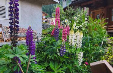 Casa Roberta - Foto 2