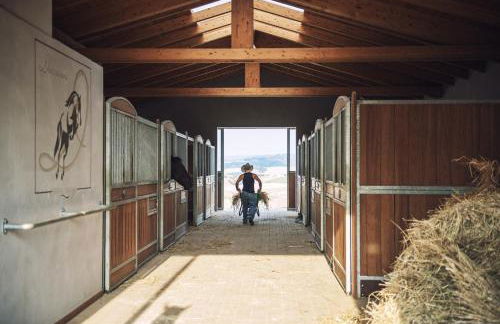 Agriturismo Biologico Diacceroni - Foto 64