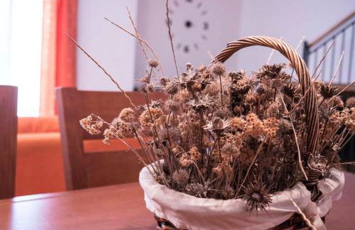 La Casa De La Vega - Foto 17