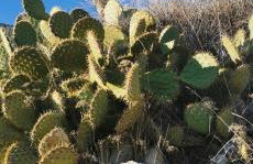 Altstadtvilla BAN's - Photo 52