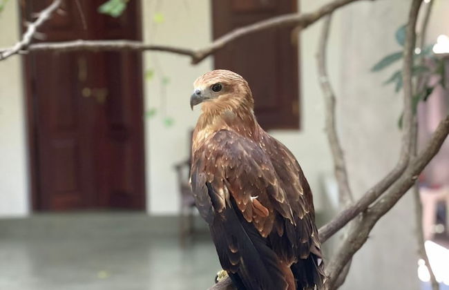 Villa Tambaka Retreat - Photo 4