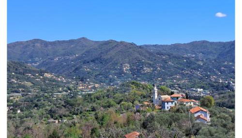 Les Oliviers - Photo 2