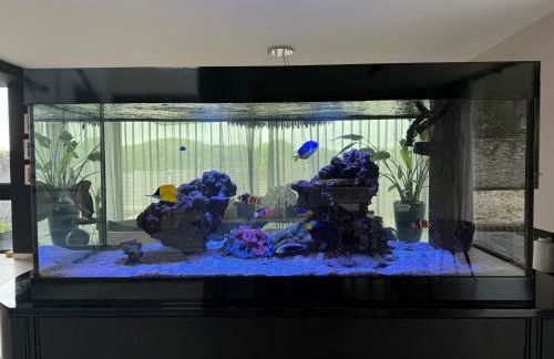 Cooden Beach: 4BD Retreat with Cinema - Foto 17