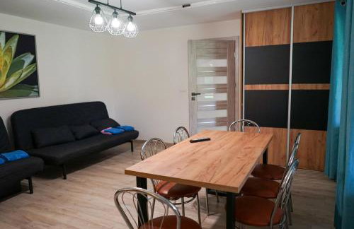 Agroturystyka PLENER - Foto 25