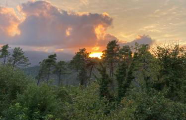 La casa nel verde con piscina - Photo 45