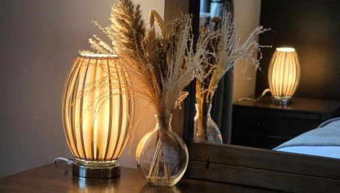 ANSI Splendor - Foto 2