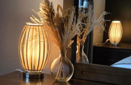 ANSI Splendor - Foto 2