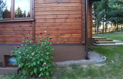 Pod Dębem Bis - Foto 13