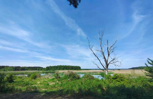 Leśniczówka Zielone Zakole - Foto 42