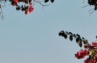 Prinsotel La Caleta - Foto 23