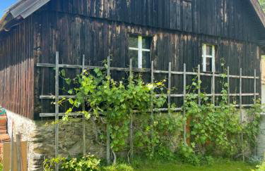 Dom Pod Dębem Agroturystyka - Foto 53