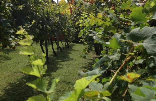 Casa del Vigneto - Foto 33