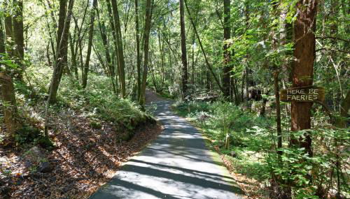 Casa Crotti - Foto 4