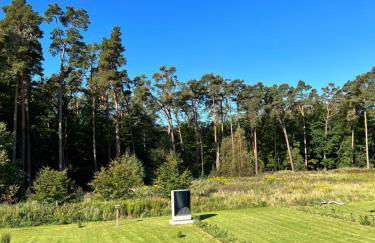 nagelneue Fewo mit Waldblick 10min zur See Igelring21og - Foto 17