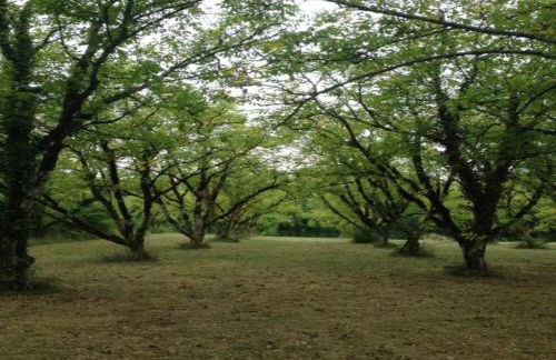 Cahors Countryside Retreat - Foto 33