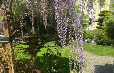 Apartamenty i pokoje „Pod Jedynką” - Foto 79