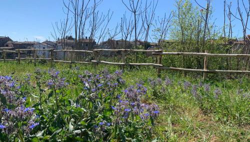 Domus Antonii - Foto 4