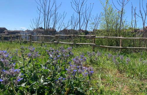 Domus Antonii - Foto 4