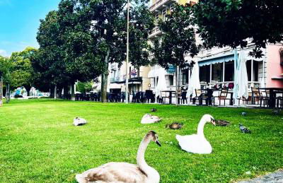 Casa Gambusso historical house magnificent Lake View - Foto 77