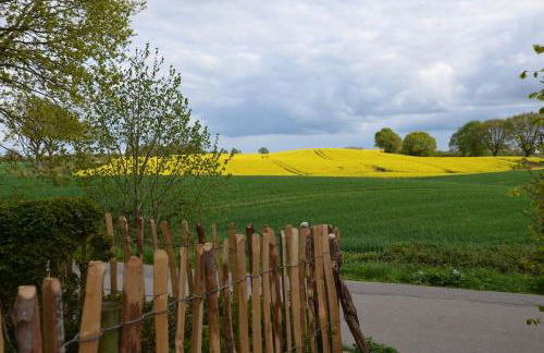 Ferienhaus Hof Papenwohld - Naturpark, Gartensauna - Foto 20