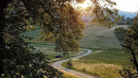 Agriturismo Varcodoro - Foto 5