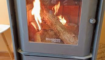 El Rinconcico - Foto 4