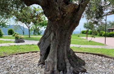 Agriturismo La Terrazza su Farfa - Foto 27