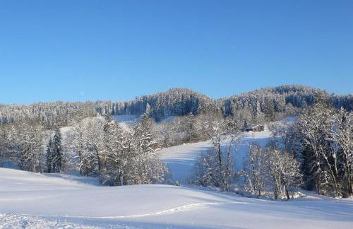 Ferienwohnung Wild - Foto 27