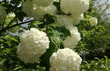 Apartment Stjepan - Foto 10